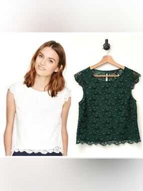Aritzia Talula Portobello Lace Cap Sleeve Blouse